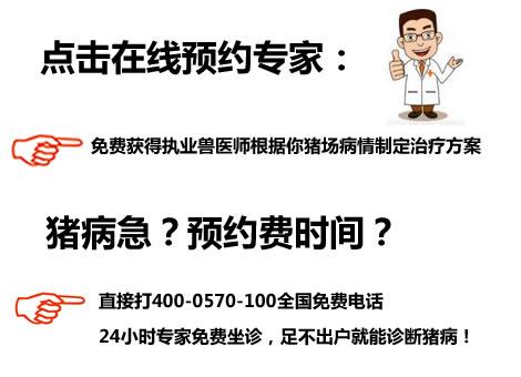 小豬拉稀腹瀉治療指導